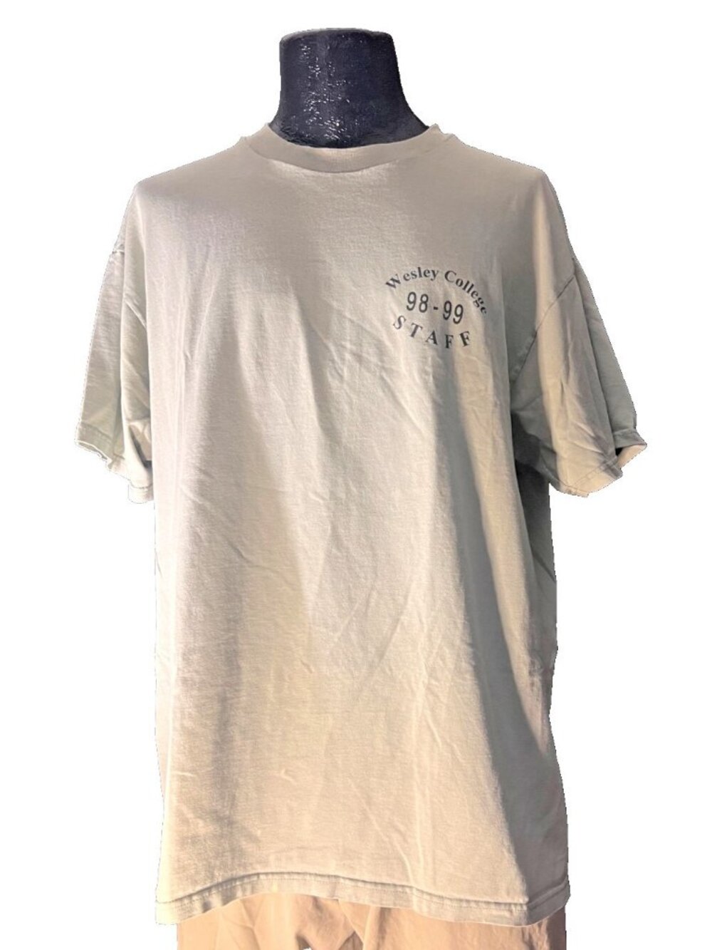 Vintage 90s Hanes Beefy TWesley College Staff T-Shirt XL Carpe Diem Fish Graphic